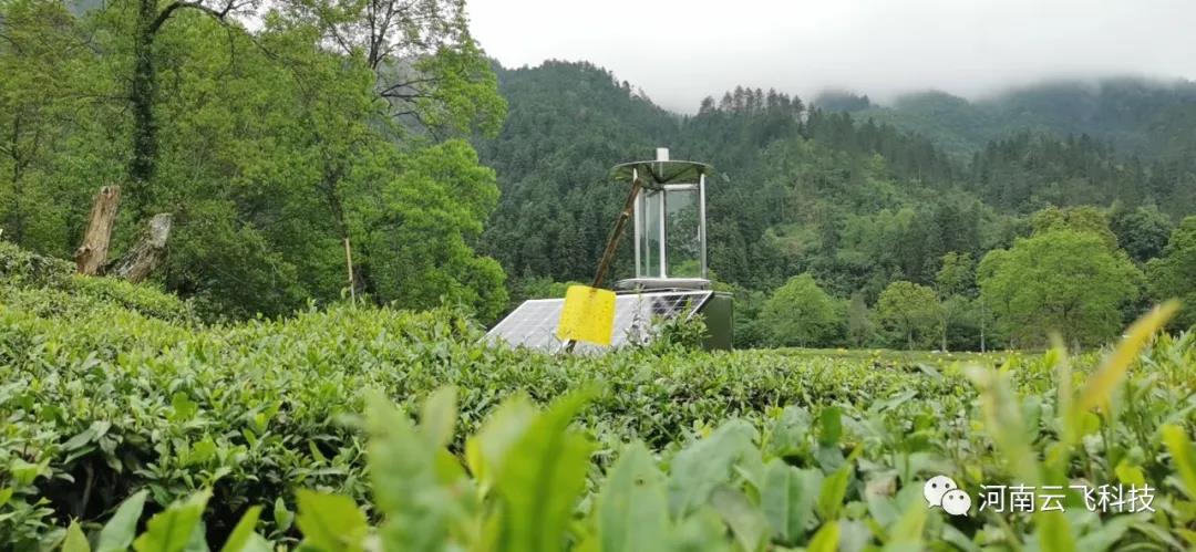 休寧縣利用云飛太陽(yáng)能測報燈打造秀美皖南