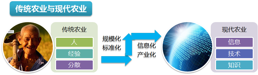 智能農業(yè)物聯(lián)網(wǎng)監控系統