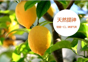 經(jīng)過(guò)太陽(yáng)能殺蟲(chóng)燈防治后的檸檬